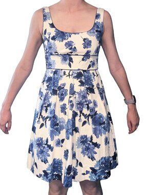 Blue/White Floral Fit & Flare Dress | Sleeveless A-Line Summer Sundress | Med